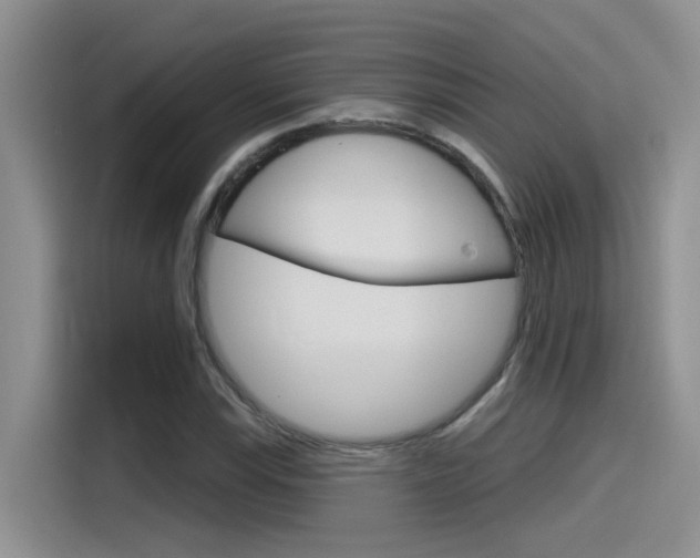 X0000115791115200911131021
