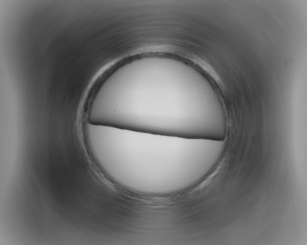 X0000115791119200911131021