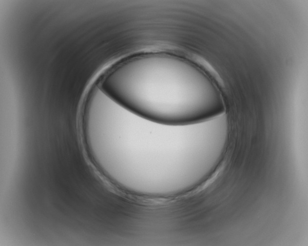 X0000115791122200911131021