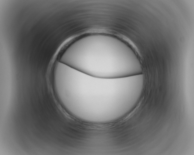 X0000115791123200911131021