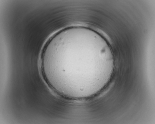 X0000115791125200911131021