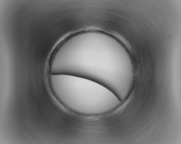 X0000115791126200911131021