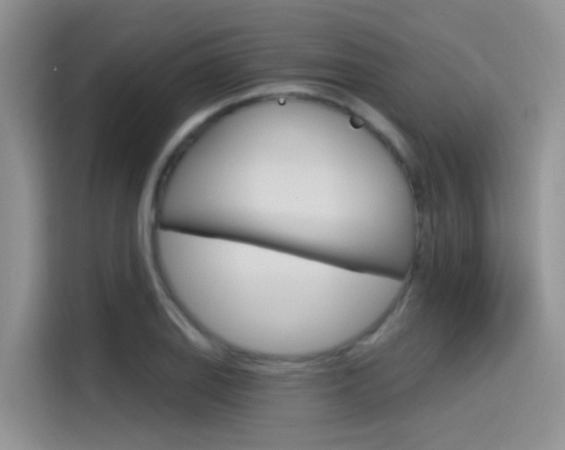X0000115791127200911131021