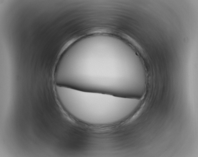 X0000115791129200911131021