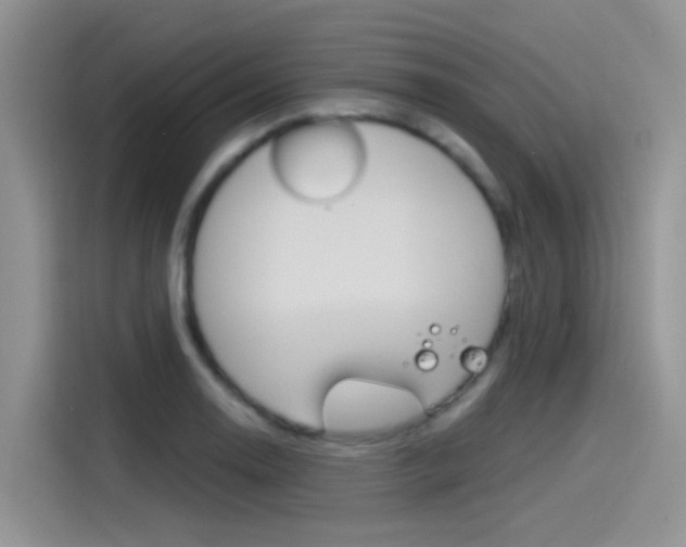 X0000115791130200911131021