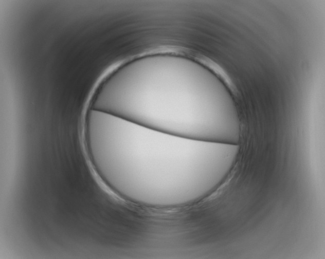 X0000115791135200911131021