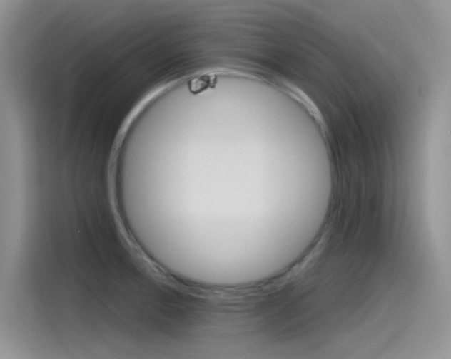 X0000115791138200911131021