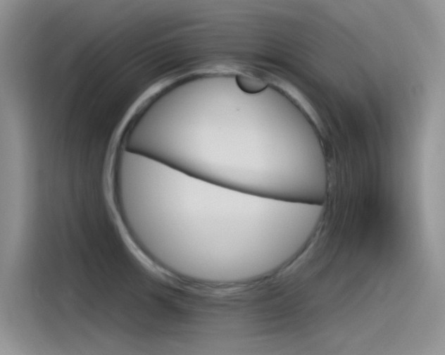 X0000115791139200911131021