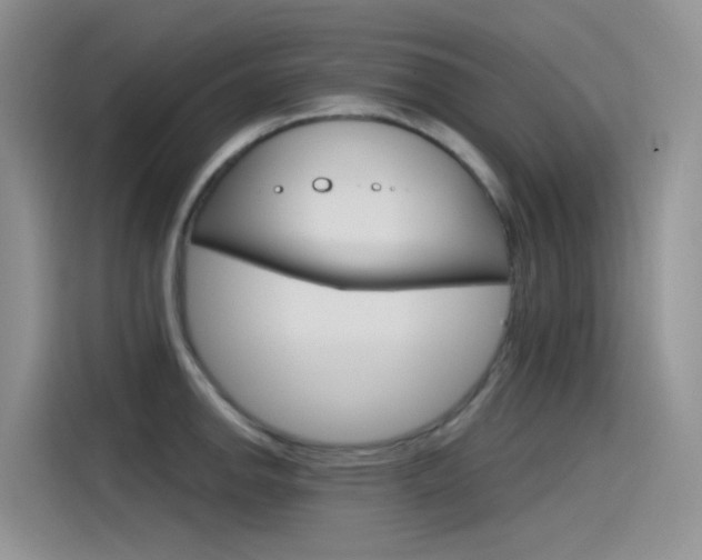 X0000115791142200911131021