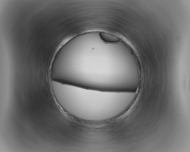 X0000115791145200911131021