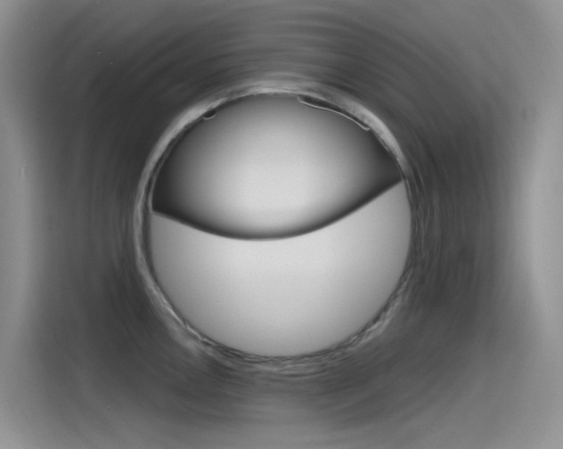 X0000115791146200911131021