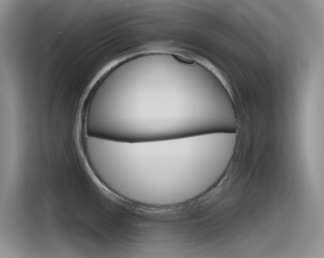 X0000115791147200911131021