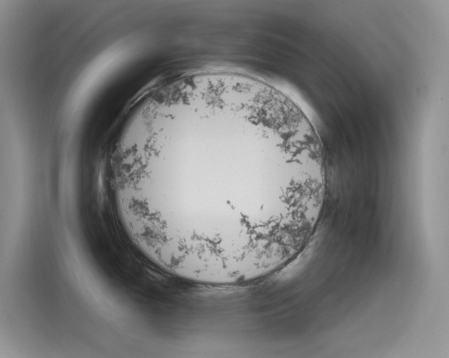 X0000115791150200911131021