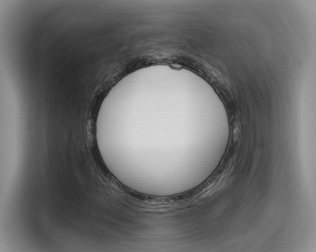 X0000115791156200911131021