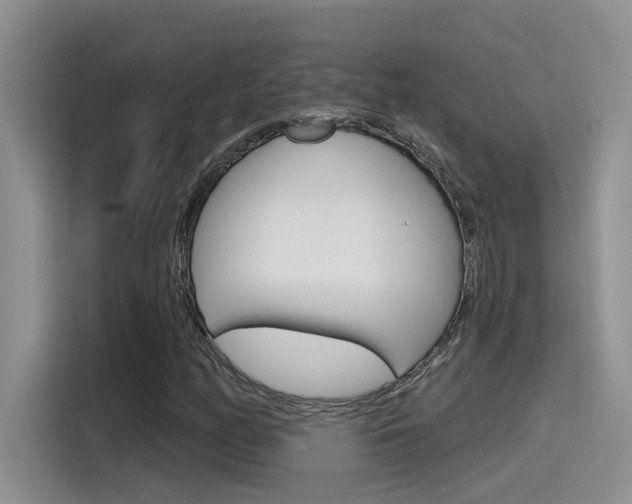X0000115791158200911131020