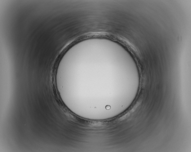 X0000115791162200911131020