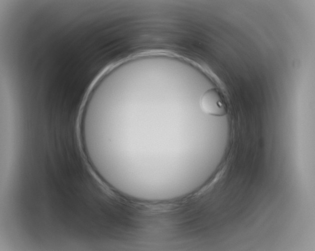 X0000115791181200911131020