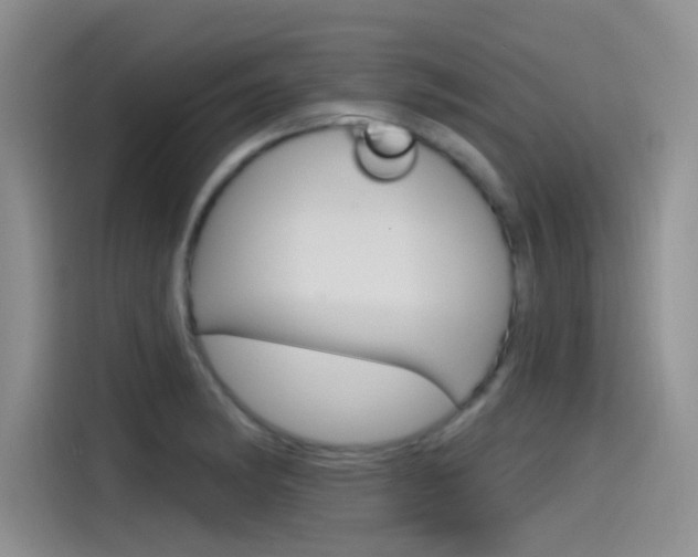 X0000115791182200911131020