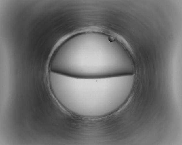 X0000115791184200911131020