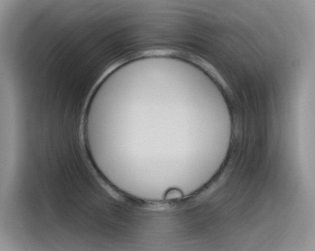 X0000115791186200911131020