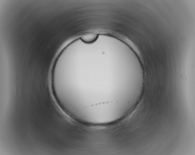 X0000115791187200911131020