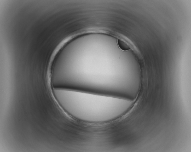 X0000115791188200911131020