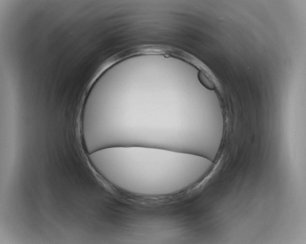 X0000115791194200911131020