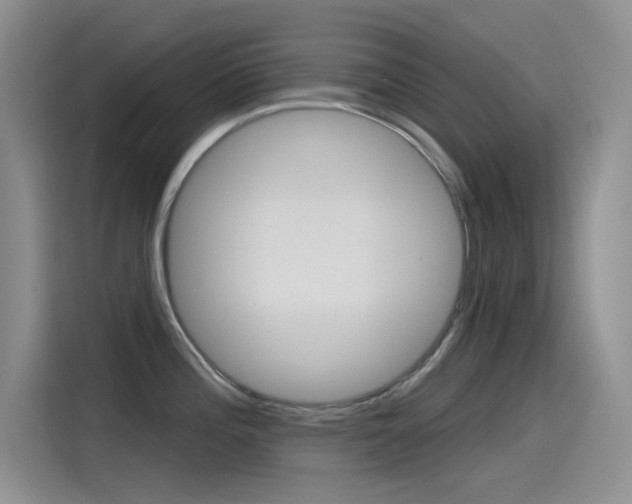 X0000115791196200911131020