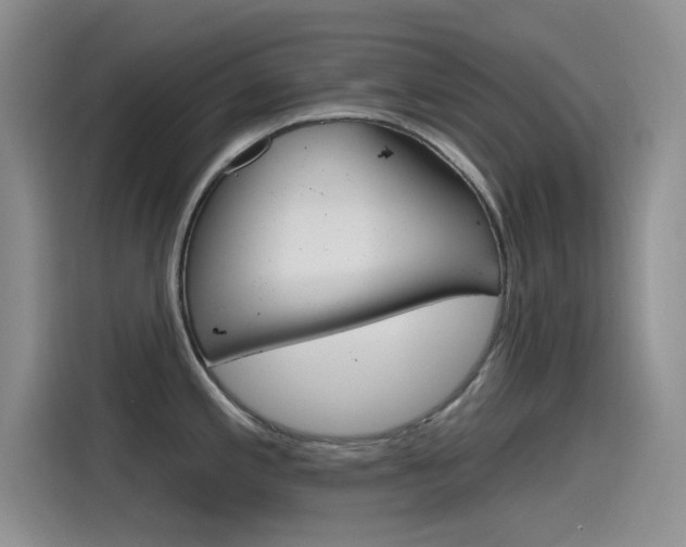 X0000115791197200911131020