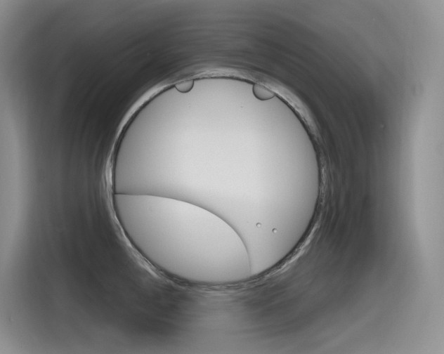 X0000115791198200911131020