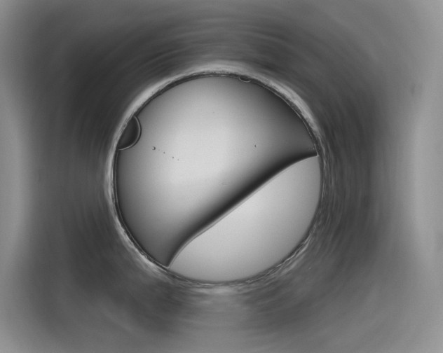 X0000115791199200911131020