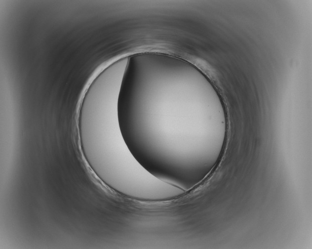 X0000115791200200911131020