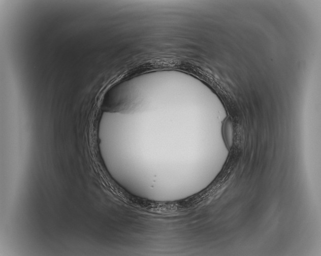 X0000115791201200911131019