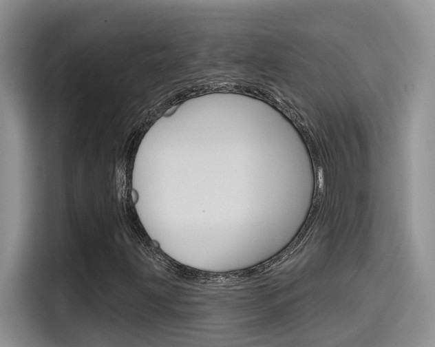 X0000115791203200911131019