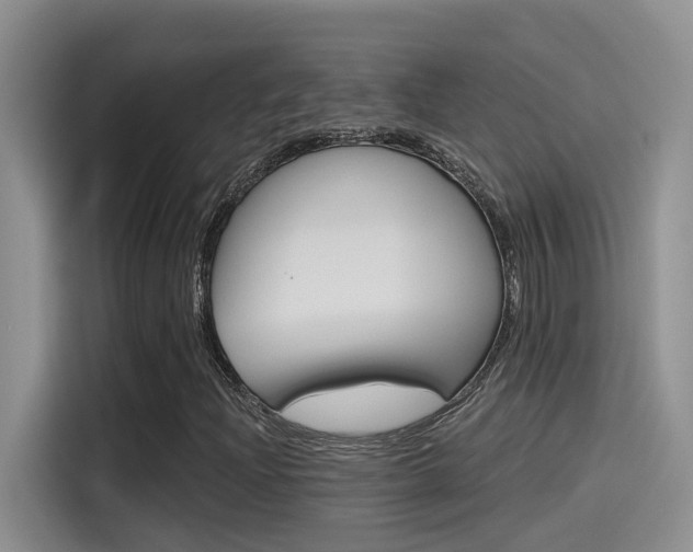 X0000115791204200911131019