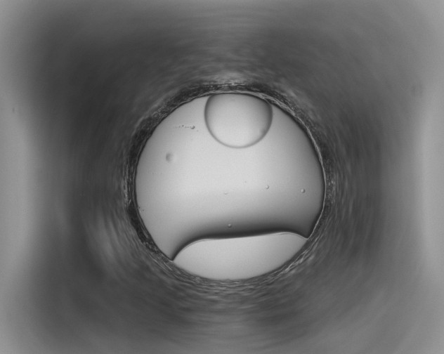 X0000115791205200911131019