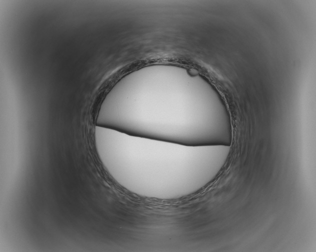 X0000115791206200911131019