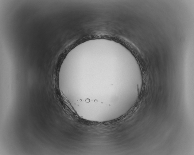 X0000115791207200911131019