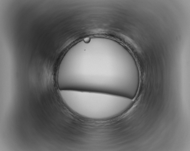 X0000115791209200911131019