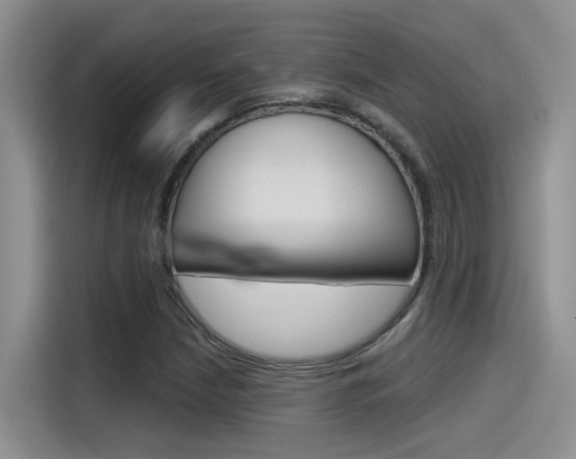 X0000115791210200911131019