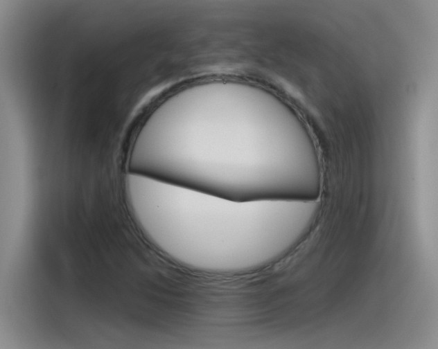 X0000115791214200911131019