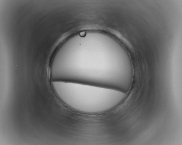 X0000115791221200911131020