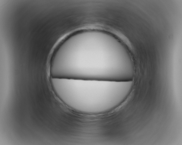 X0000115791224200911131020