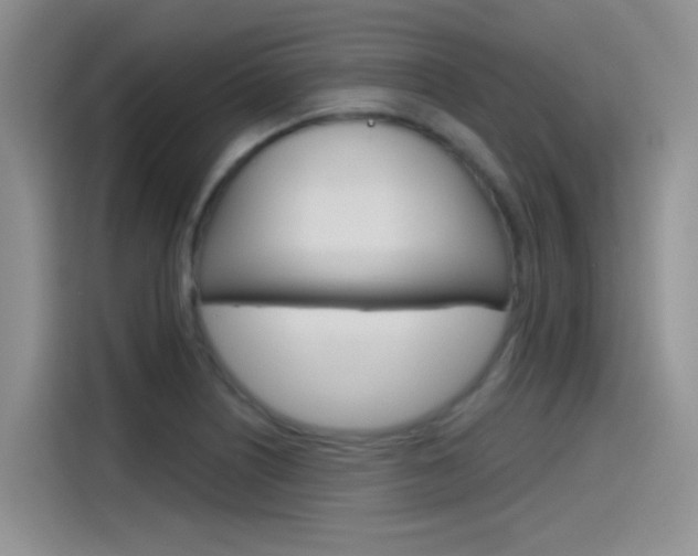 X0000115791226200911131020