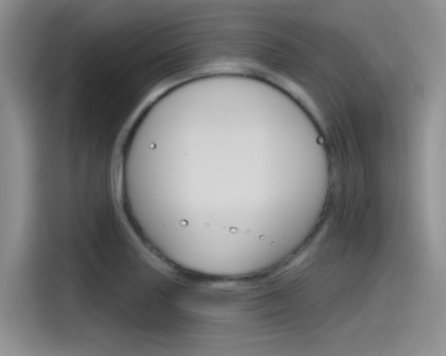 X0000115791227200911131020