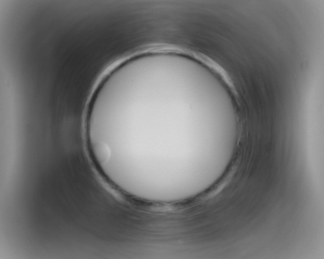 X0000115791231200911131020