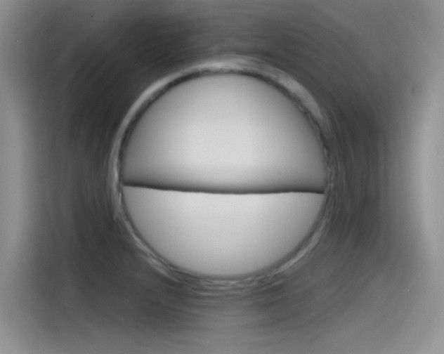 X0000115791232200911131020