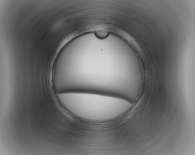 X0000115791234200911131020