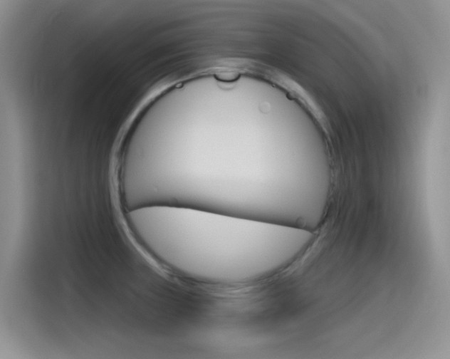 X0000115791235200911131020