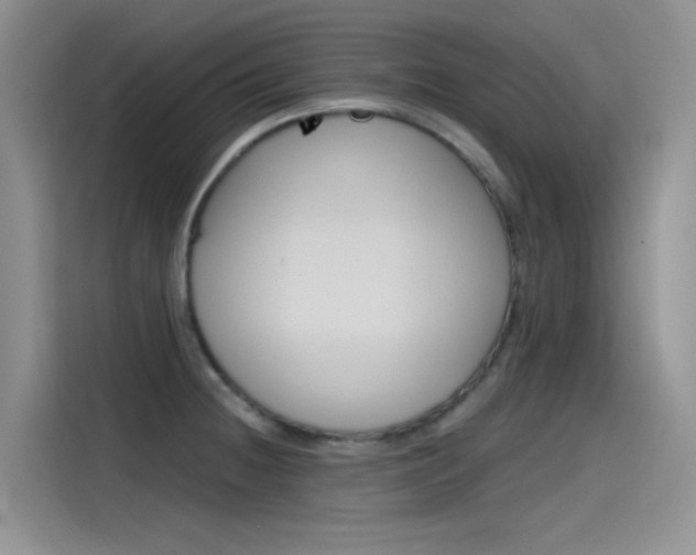 X0000115791236200911131020